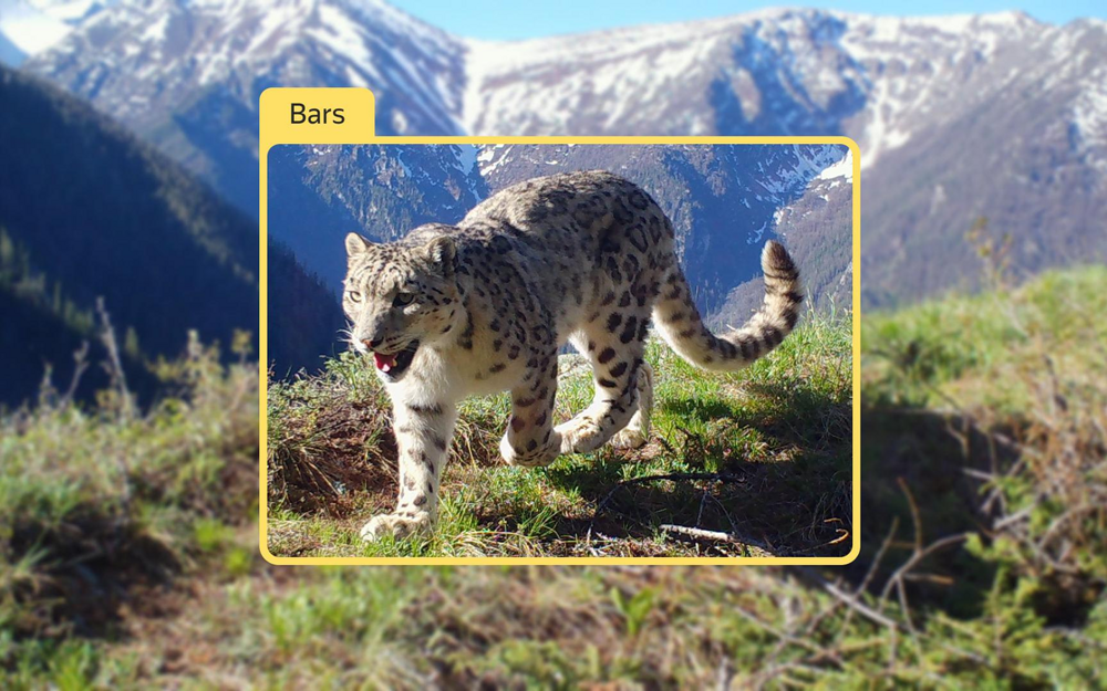 Как нейросети губят животных?