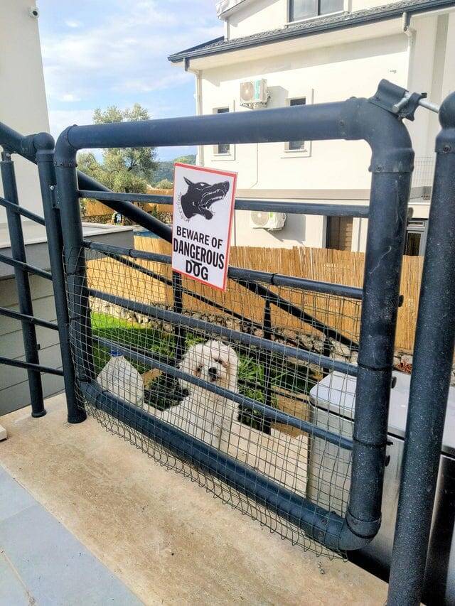 Я тут побуду вместо злой собаки, ладно?