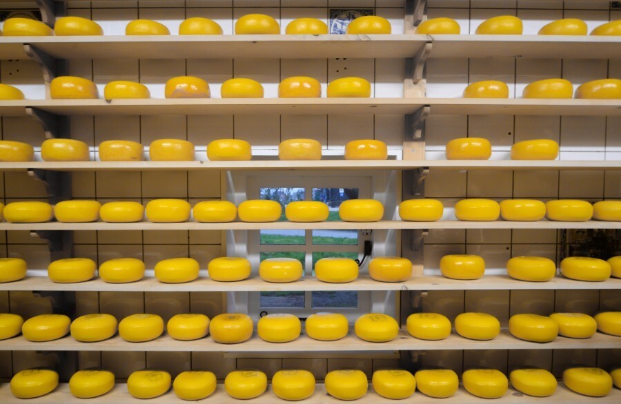 21. Сырная гармония