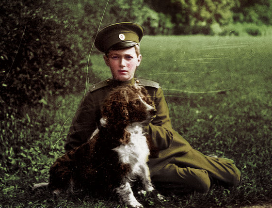 Тайна Распутина: почему его методы лечили цесаревича, а лекарства врачей - нет. Современная медицина объясняет