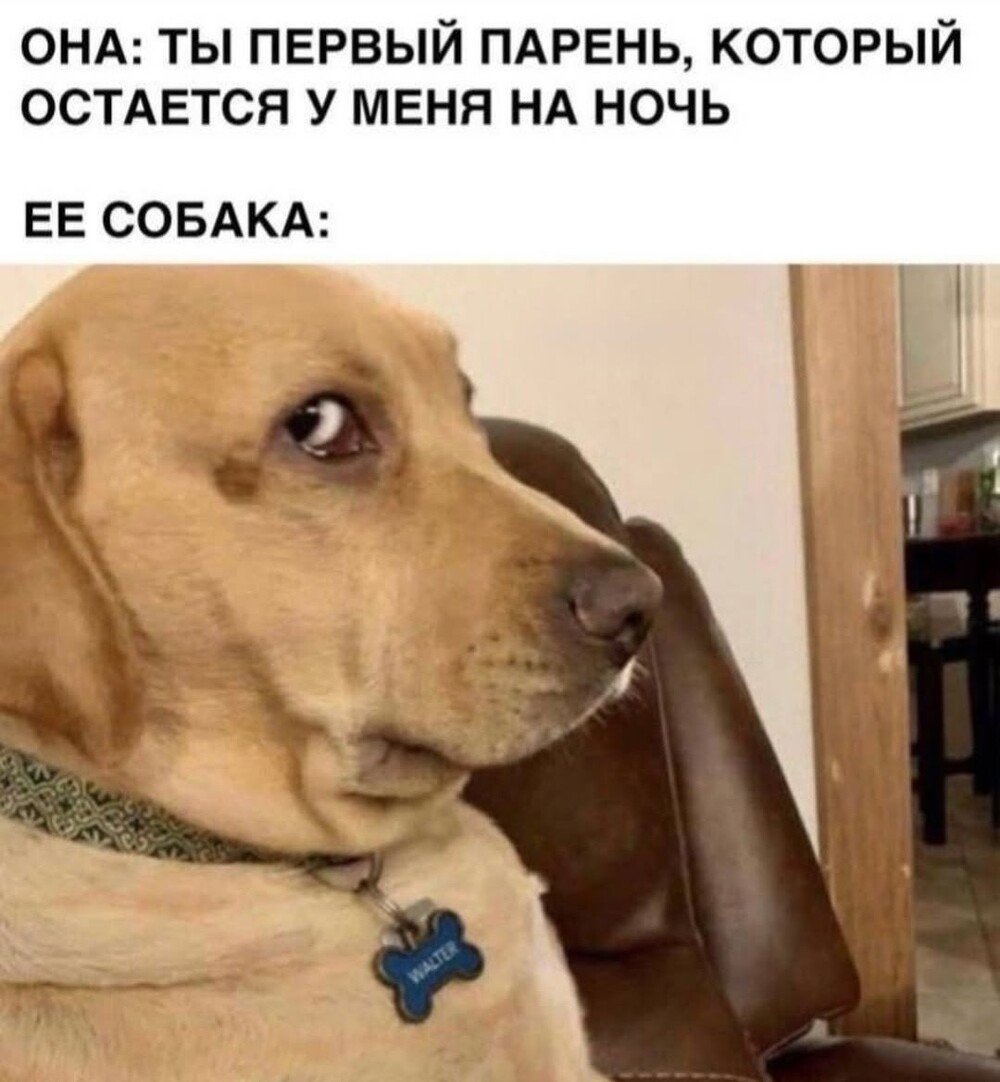 Большая тарелка улыбатора