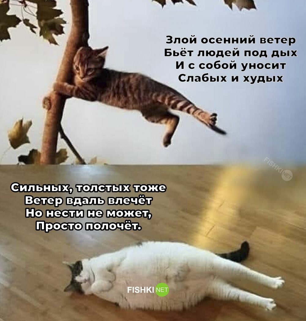 Большая тарелка улыбатора