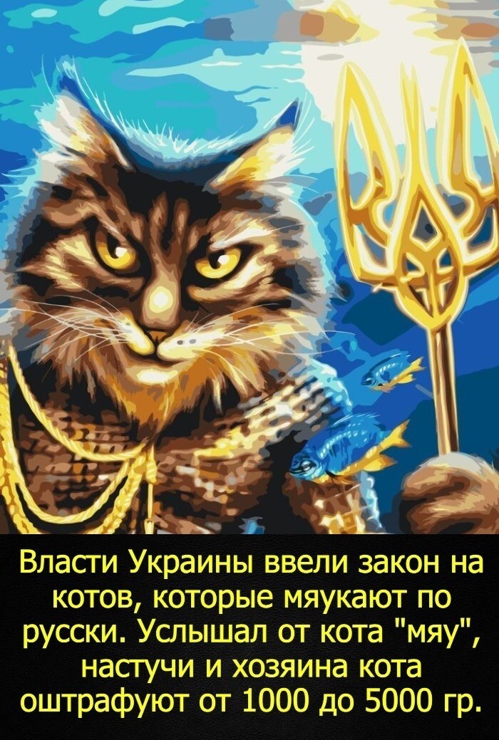 Политическая рубрика от NAZARETH за 17.11.25. Новости, события, комментарии - 1933 /вечерний выпуск/