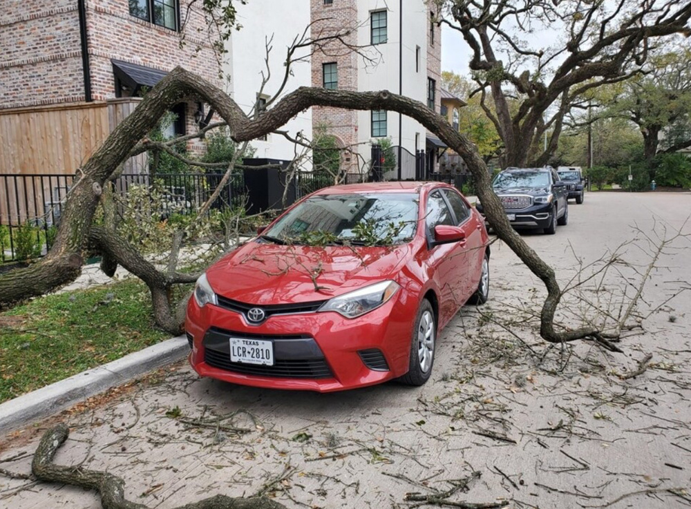 Какой приятный сюрприз!