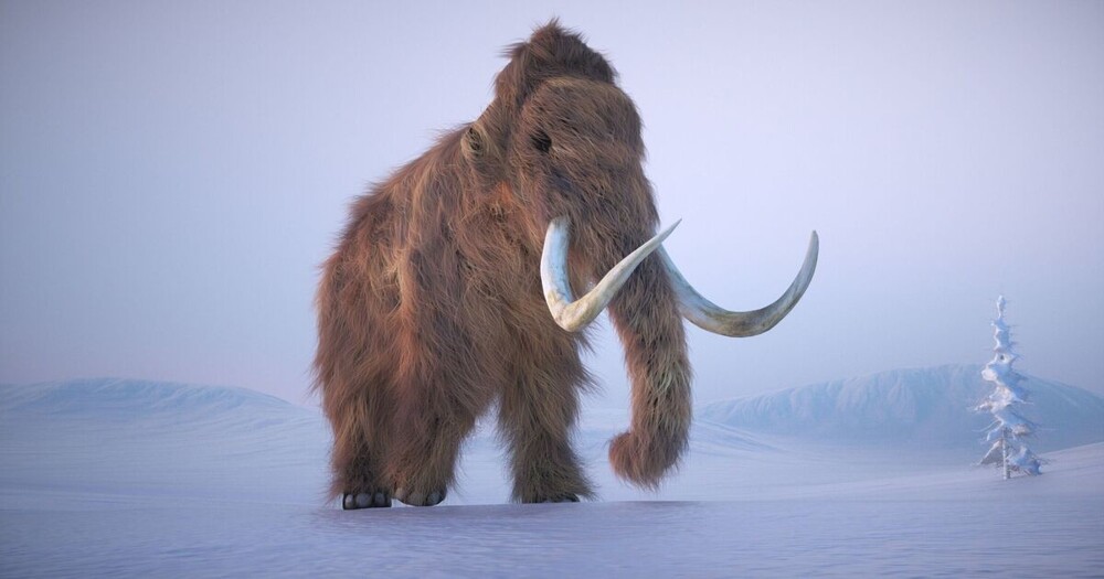 Учёные впервые расшифровали РНК мамонта возрастом 40 тыс. лет