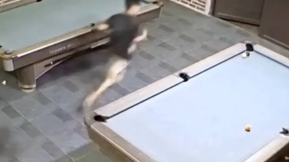 Семейная дисциплина по-вьетнамски: жена силой забрала мужа из бильярдной