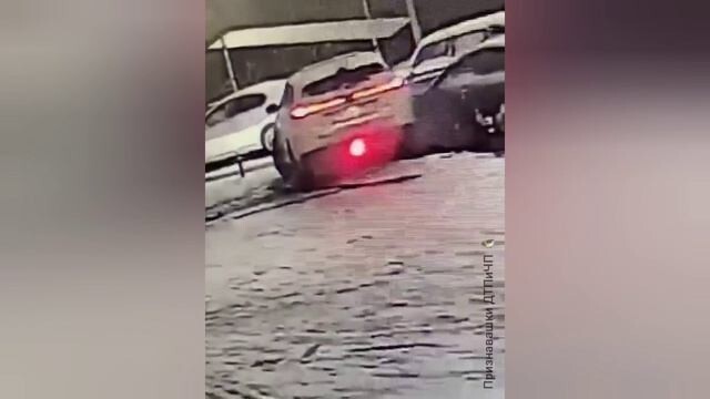 Дама на китайском кроссовере исполнила на бульваре Менделеева