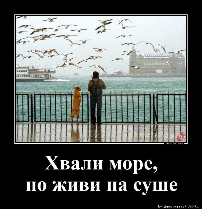 Хвали море, но живи на суше