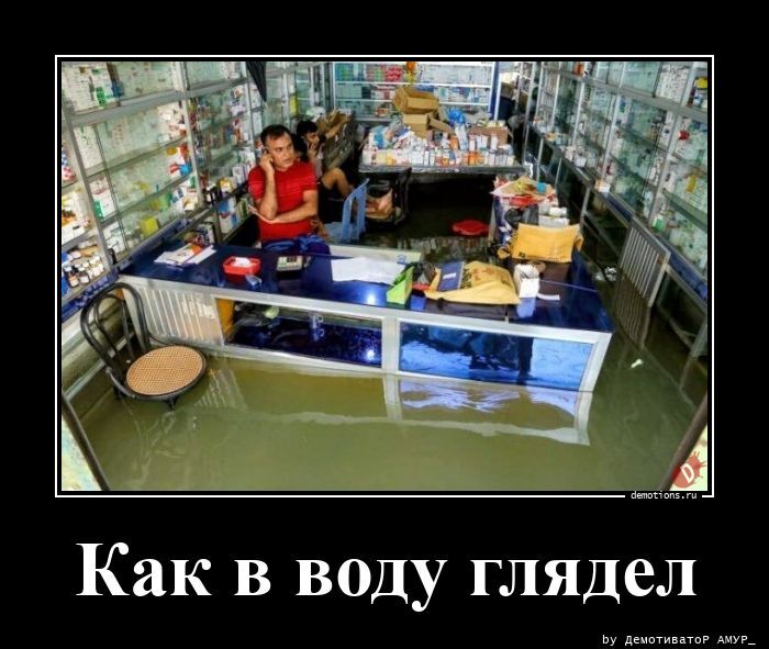 Как в воду глядел