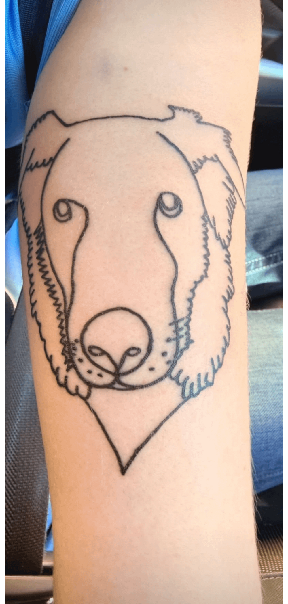 1. Этого питомца жизнь явно потрепала