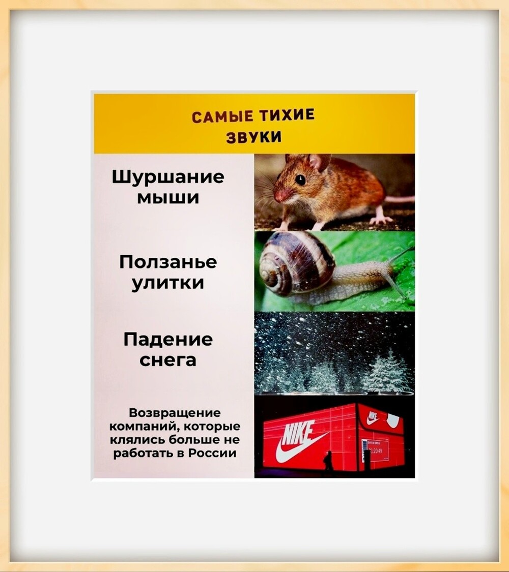 Политическая рубрика от NAZARETH за 18.11.25. Новости, события, комментарии - 1934