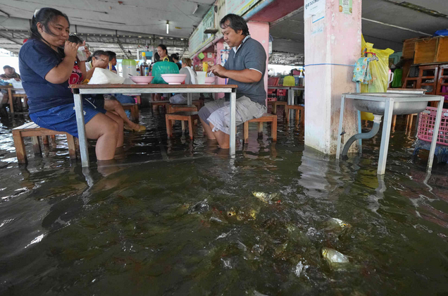 Бизнес на катастрофе или рыбный успех тайского ресторана