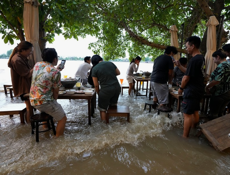 Бизнес на катастрофе или рыбный успех тайского ресторана