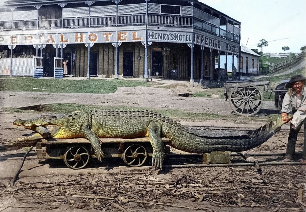 Подборка фотографий из прошлого, которые заставляют удивиться