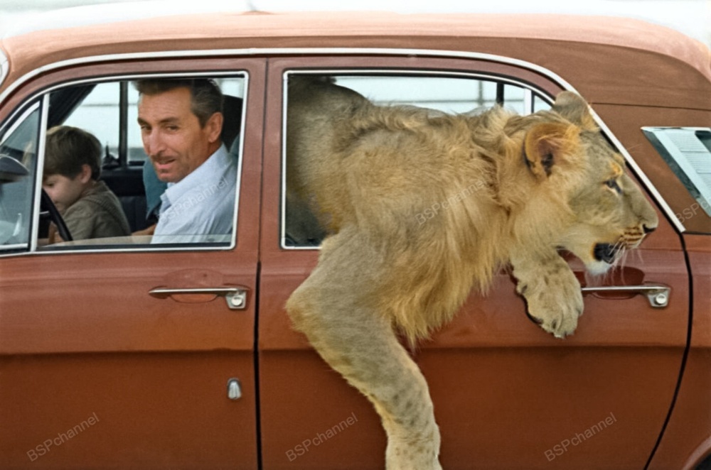 Подборка фотографий из прошлого, которые заставляют удивиться