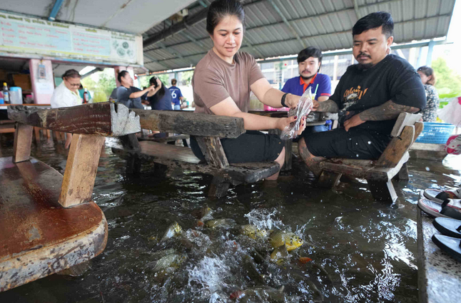 Бизнес на катастрофе или рыбный успех тайского ресторана