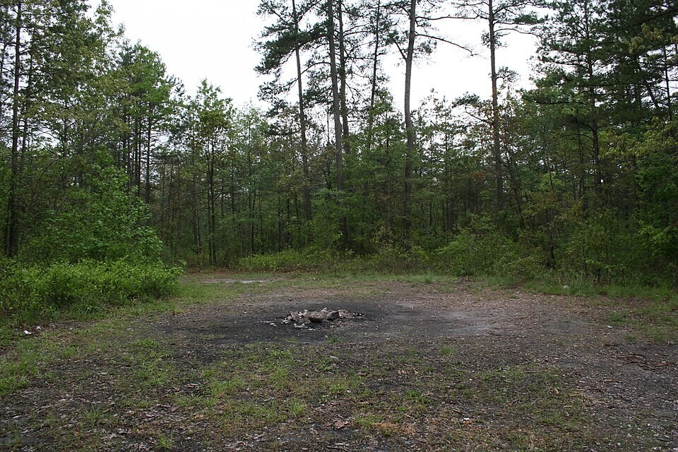 Тропа Дьявола: научные факты и леденящие душу легенды о загадочном месте Северной Каролины