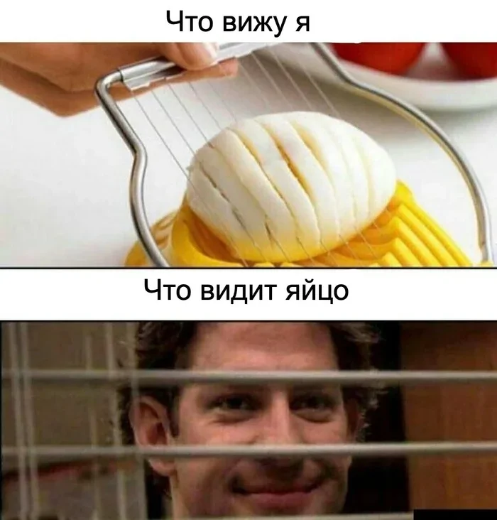 яйцерезка