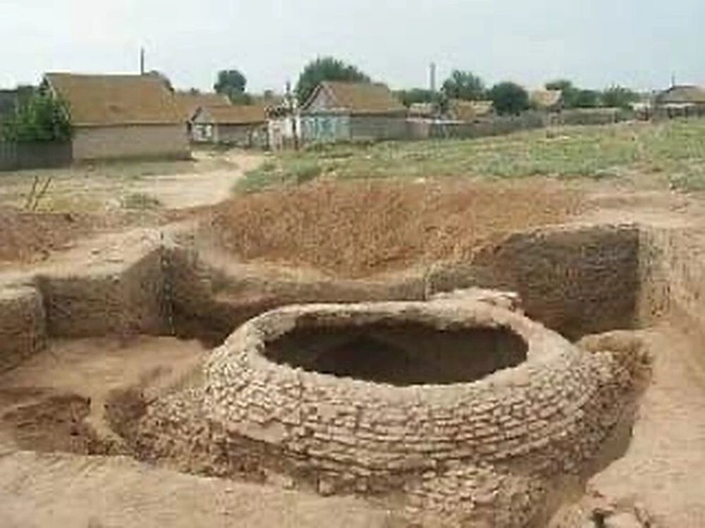 Лошадь провалилась в старинный склеп в Астраханской области