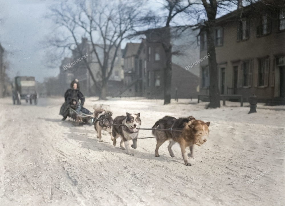 Подборка интересных и необычных фотографий из США