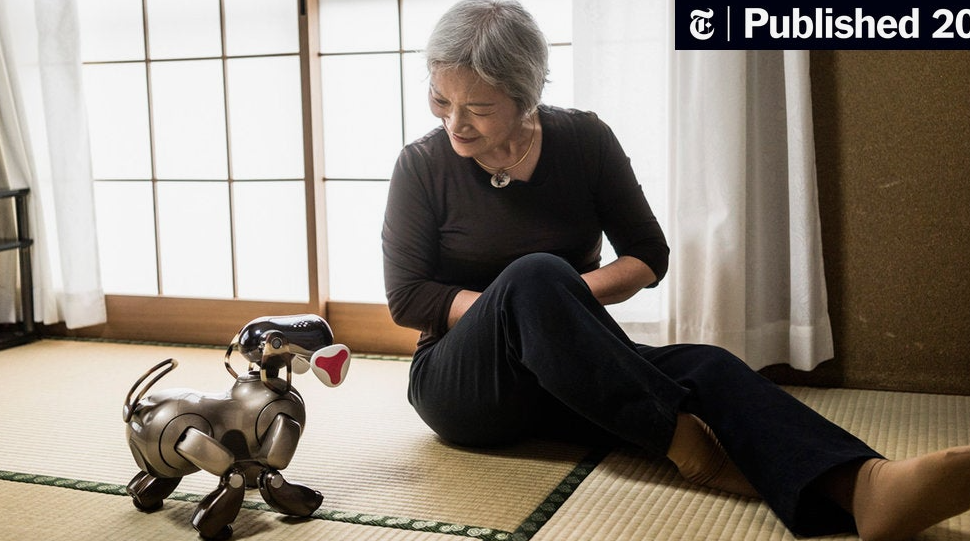 Как качки в японском доме престарелых решают демографический кризис