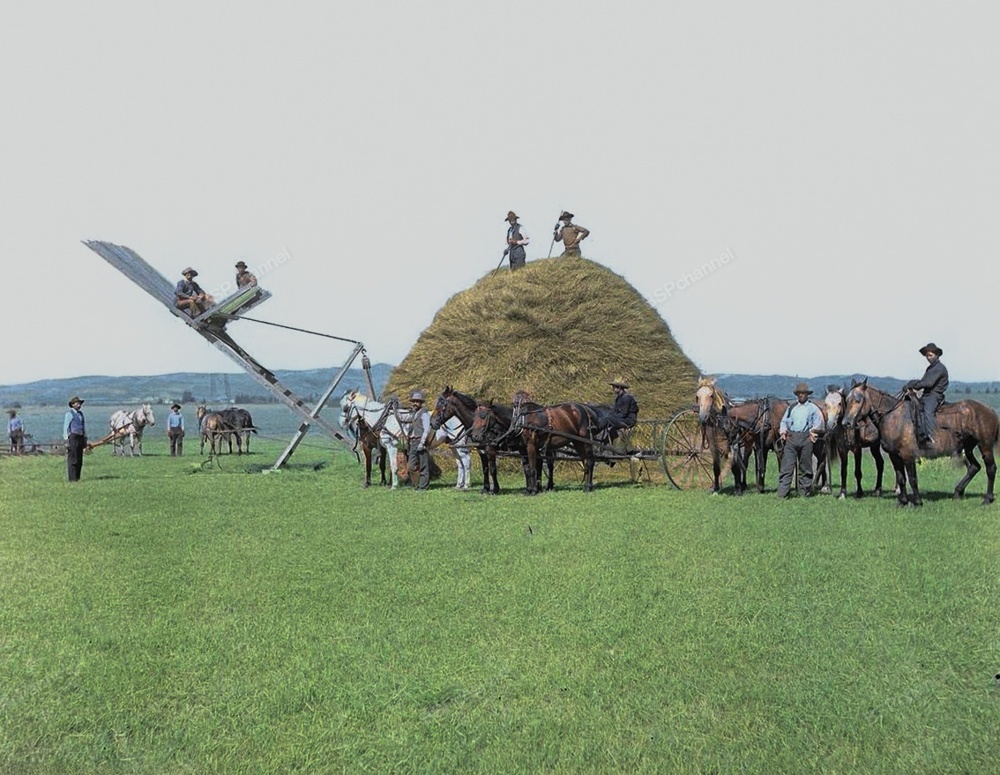 Подборка интересных и необычных фотографий из США