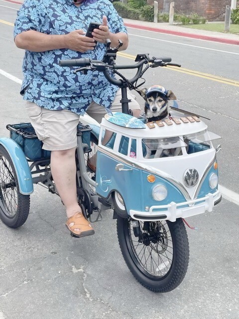 АвтоВсячина