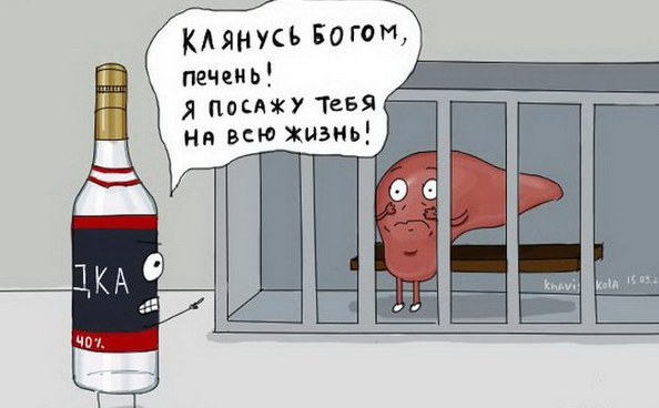 Приколы, обыгрывающие известные русские выражения в буквально смысле