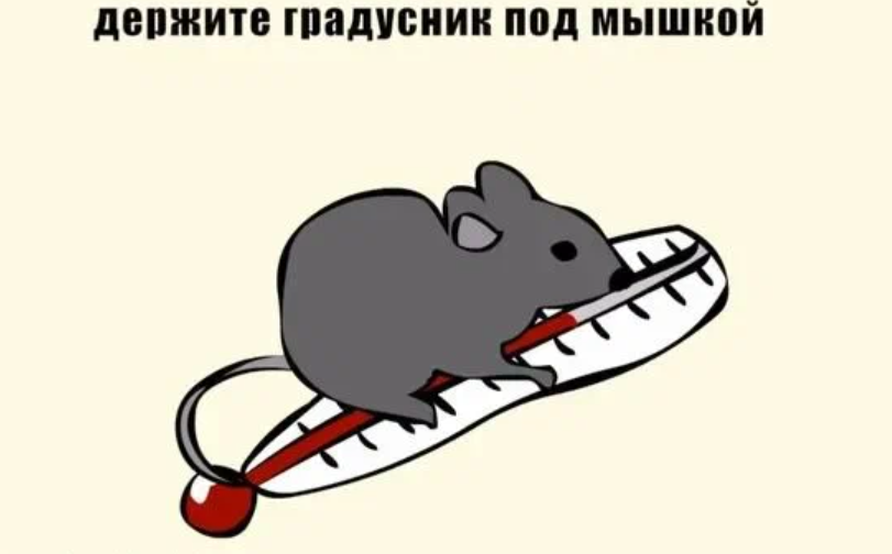 Приколы, обыгрывающие известные русские выражения в буквально смысле