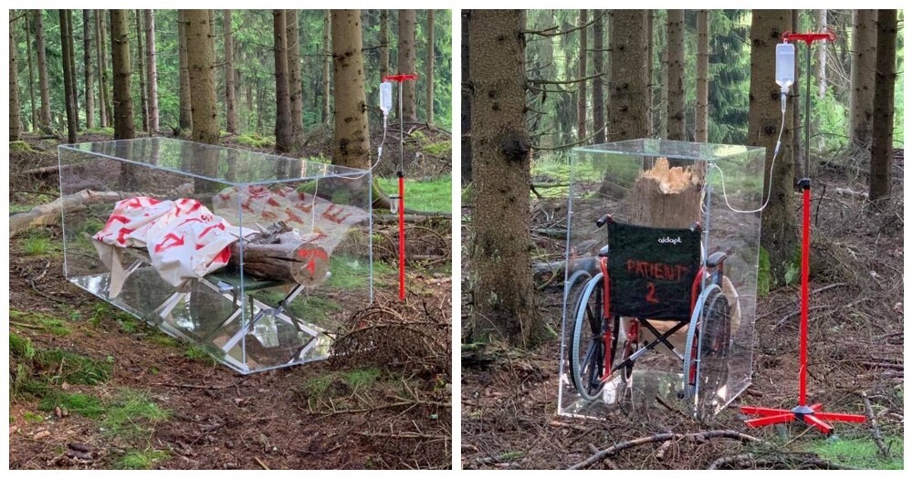 11. Природа как пациент