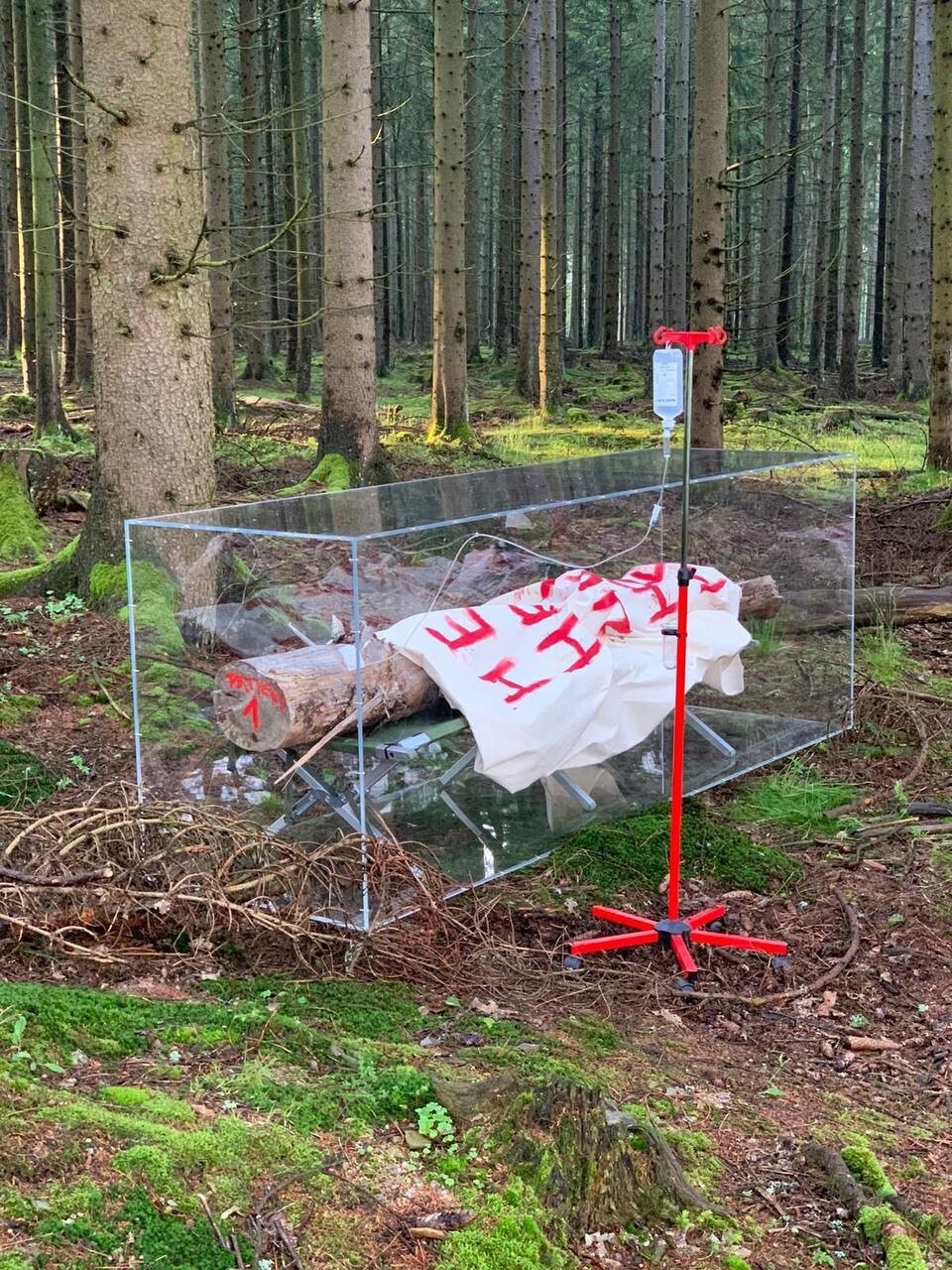 11 примеров странного, но символичного современного искусства