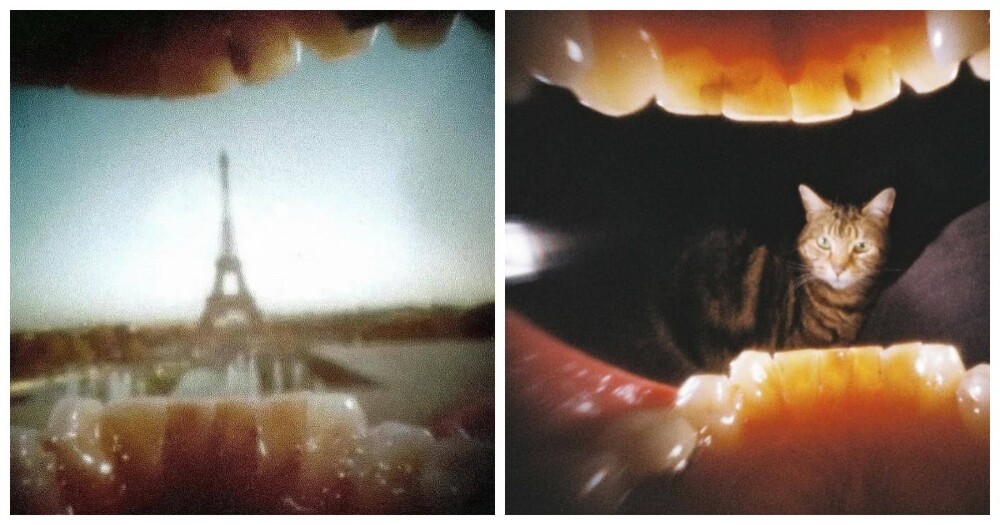 10. По ту сторону зубов