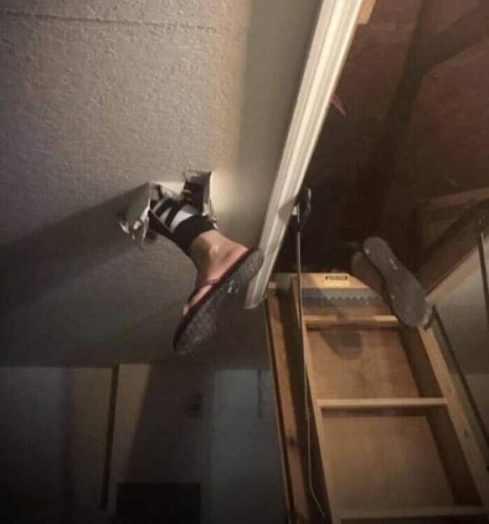 11. Жена пошла за рождественской елкой на чердак. Попросил не наступать на гипсокартон. Позже призналась, что не знала, что это такое