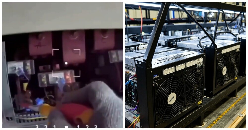 В Калининградской области майнер похитил электроэнергии на 56 млн рублей