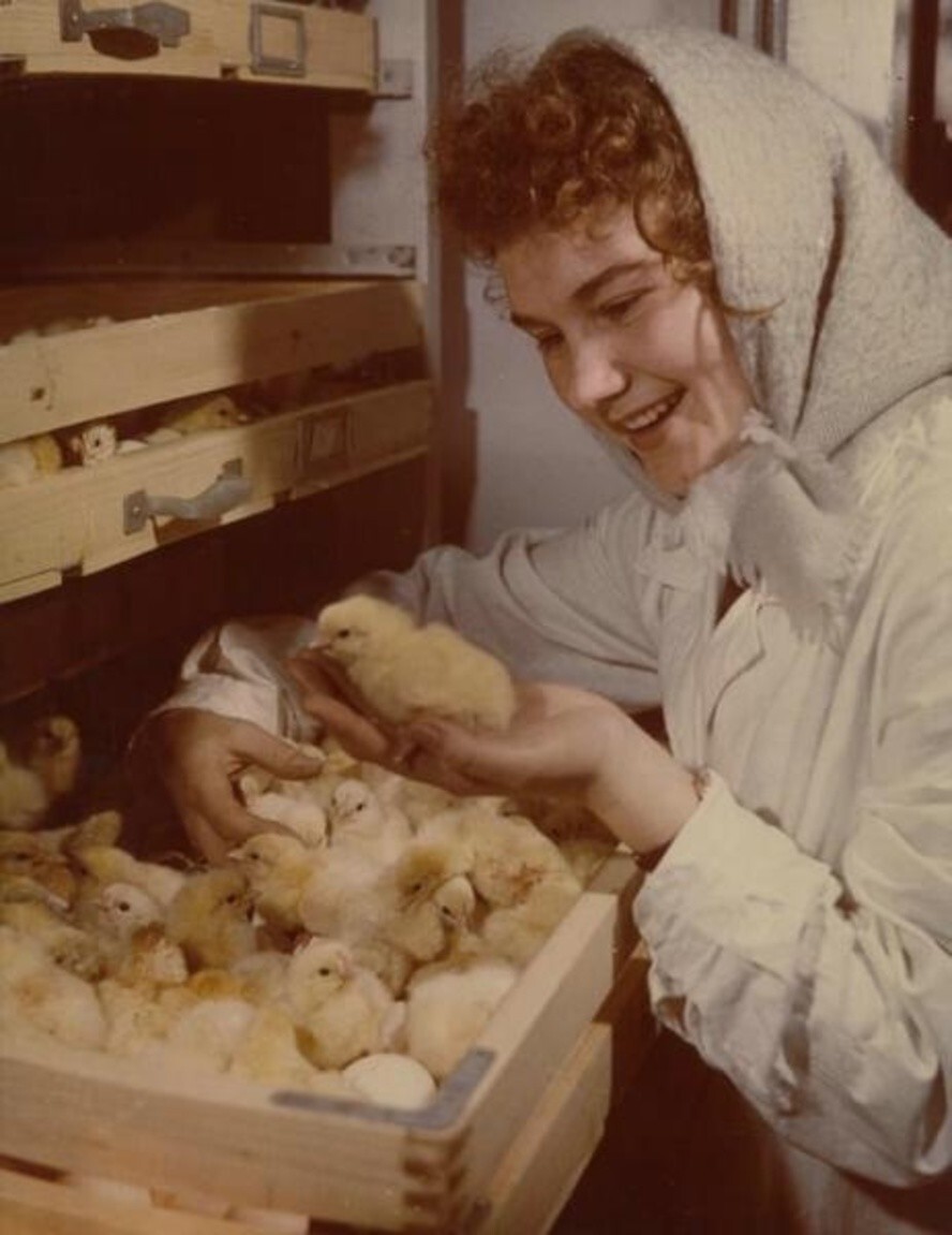 Птенчик. 1953 год. Автор: Роберт Диамент.