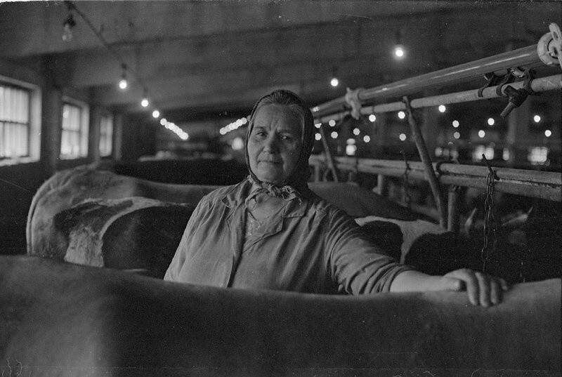 Фотография для Доски почета. Доярка. 1989 год. Автор: Виктор Ершов. Ивановская область.