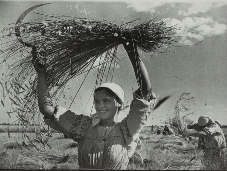 Колхозница. 1960-е. Автор: Дмитрий Бальтерманц.