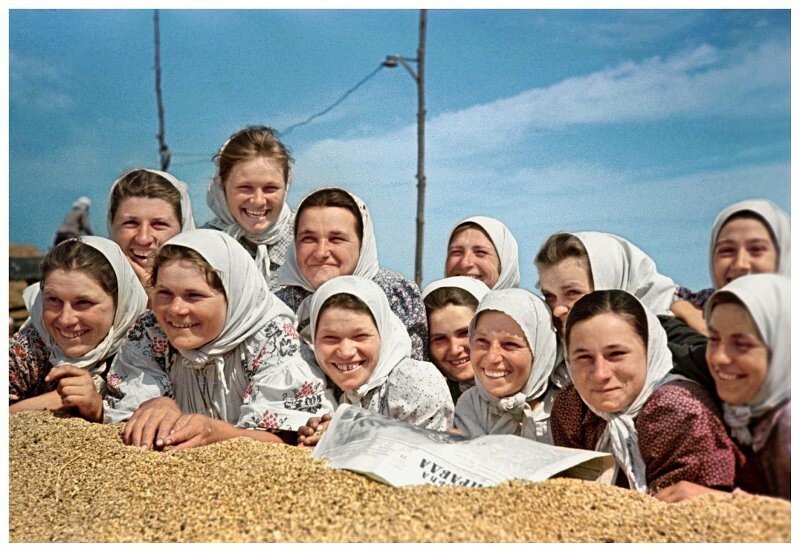 Полеводческая бригада колхоза имени Сталина. 1951 год. Автор: Александр Кричевский.  Киевская область, Шполянский район.