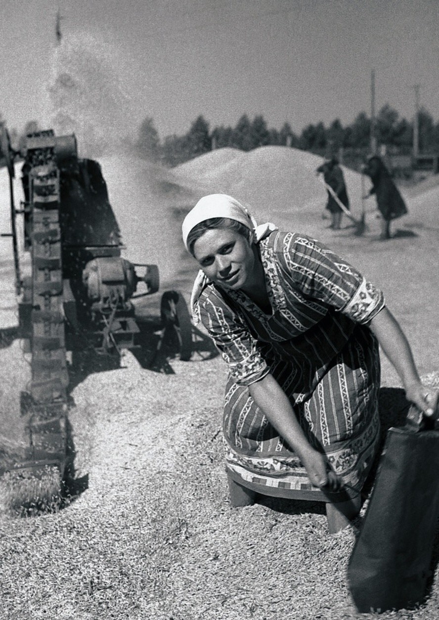 Очистка зерна на токе. В. Ф. Старикова. 31 августа 1960 года. Неизвестный автор. Челябинская область, Еманжелинский совхоз, Печенкинское отделение.