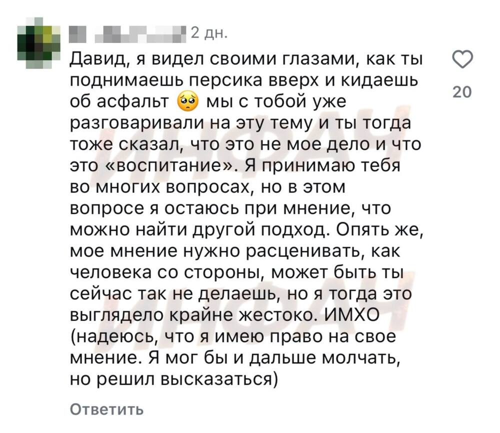 Собачник против прохожей: драка и газовый баллон после жестокого поступка