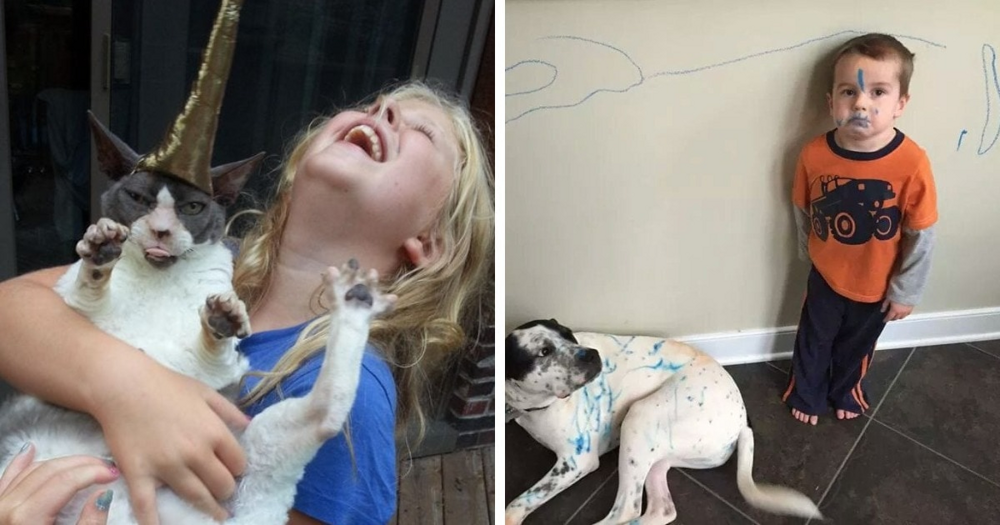 16 доказательств того, что жизнь с детьми и питомцами полна приключений