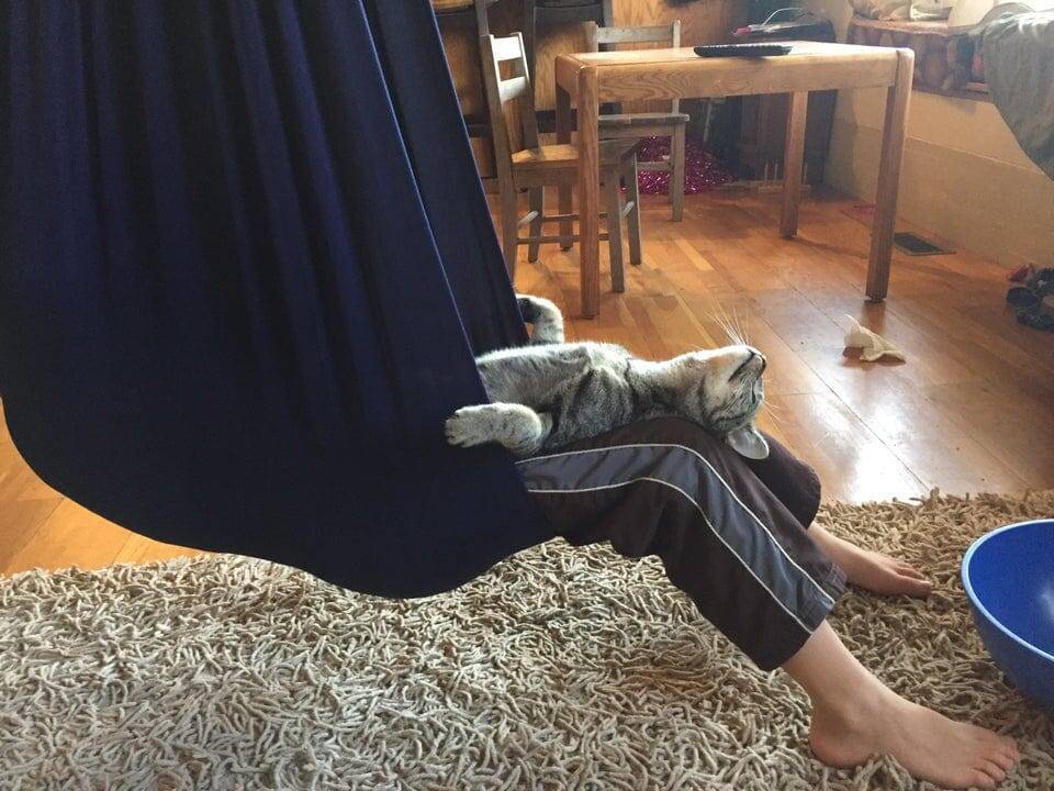 Когда просто нравится зависать вместе