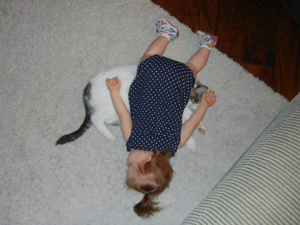 Шли. Устали. Уснули