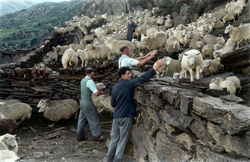 Любопытные фотографии из прошлого Великобритании