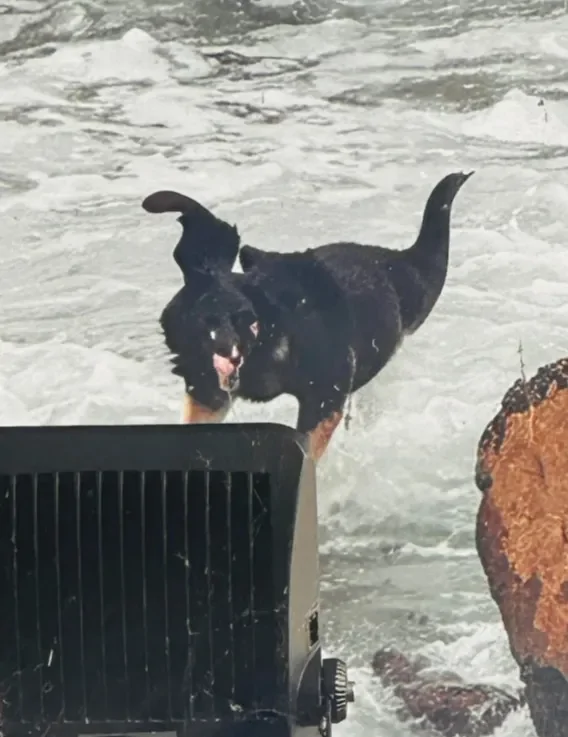 Кошмар перед Рождеством: лондонцы в ужасе от праздничного панно