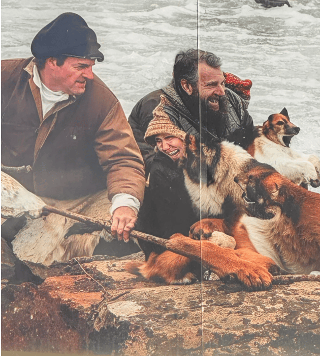 Кошмар перед Рождеством: лондонцы в ужасе от праздничного панно