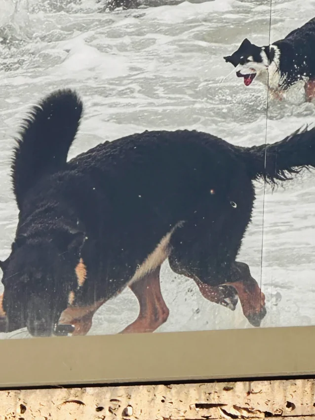 Кошмар перед Рождеством: лондонцы в ужасе от праздничного панно