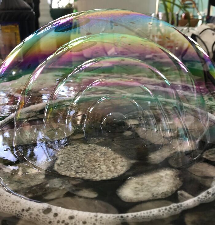 2. Сделал 6 мыльных пузырей для урока биологии