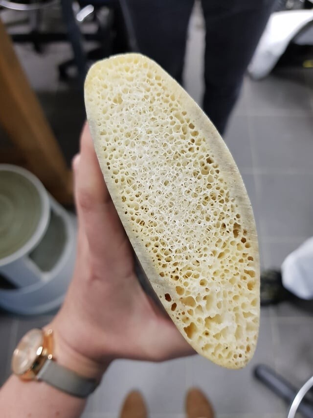 11.  Ребро кита в разрезе