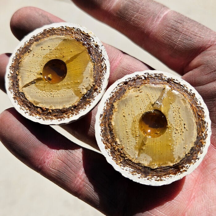 13. Мяч для гольфа с «жидкой сердцевиной» 1950-х–1960-х годов